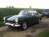 austin_healey.jpg