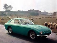 austin_healey_3000_coupe_speciale_3.jpg