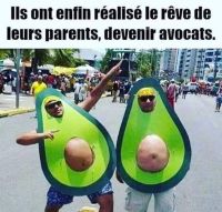 avocats.jpg