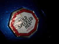 badge_MG_TF_OSH_gouttes_pluie.jpg