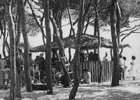 bar_club_med_alcudia_1950.jpg