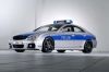barbus_cls_1.jpg