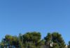 blue~0.JPG