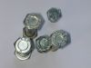 bolts~1.jpg