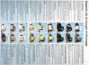 bougie-explications-110accc.jpg