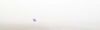 brouillard~0.jpg
