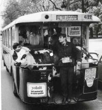 bus~0.jpg