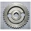 cam5333pic2mm.jpg