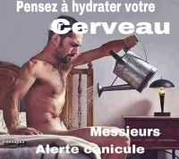 canicule.jpg