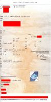 carte_grise_MGA_281129.jpg