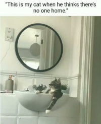 catinbathroom.png
