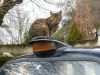 chat-taxi.jpeg