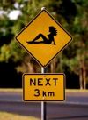 chicksnext3km.jpg
