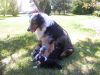 chiots_024.jpg