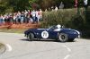 cobra.jpg
