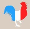 coq_Fr.JPG