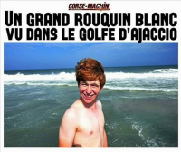 corse_machin.png