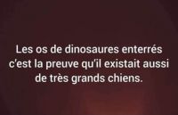 dino.jpg