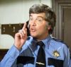 dukes-of-hazzard-the-dukes-of-hazzard-21956580-500-475.jpg