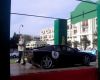fern_1.JPG