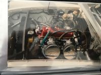 file3.jpeg