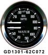 gauge~1.JPG