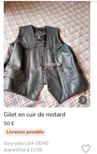 gilet.PNG