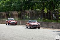 god-save-the-car-2021-roadsters-cabriots-2.jpg