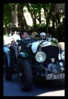 gp81.jpg