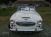 healey~0.jpg