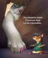 humour_chat.jpg