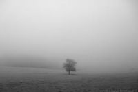 images_28229.jpeg