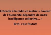 intelligence_collective.jpg