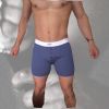 jack-boxer-bleu-a-bandes-blanches.jpg