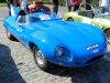jaguar_vin_28229.JPG