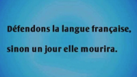 Nom du fichier=langue_francaise.png
Taille du fichier=215Ko
Dimensions : 505x285
Ajouté le : 29 Août 2019 langue_francaise.png