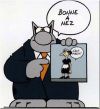 le-chat-Bonne-annee.jpg