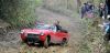 m_3990001_07_04_12-Hodsons_Midget.jpg