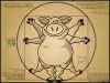 medium_cochon.jpg