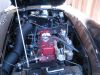 mg2503_010.jpg