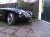 mg2503_011.jpg