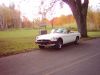 mg_215.jpg