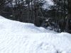 mg_mont_017.jpg