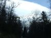 mg_mont_042.jpg