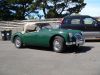 mga2Bdaphne_aout_2010_28429.JPG