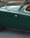 mga~7.jpg