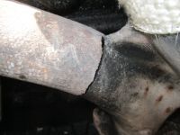 mgb-exhaust.jpeg