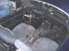 mgc_019ab.jpg