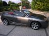 mgtf-alsace_28229.jpg