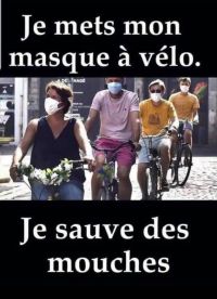 mouche.jpg